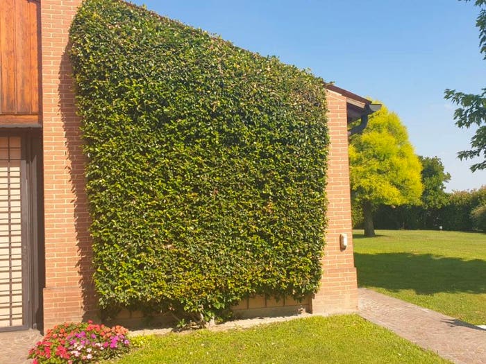 Casa con 6 locali in vendita in Centro Storico, Este