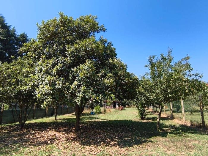 Casa con 6 locali in vendita in Via dei Pini, Manziana