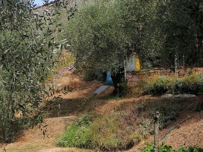 Casa con 6 locali in vendita in Chiatri Piazzano, Lucca