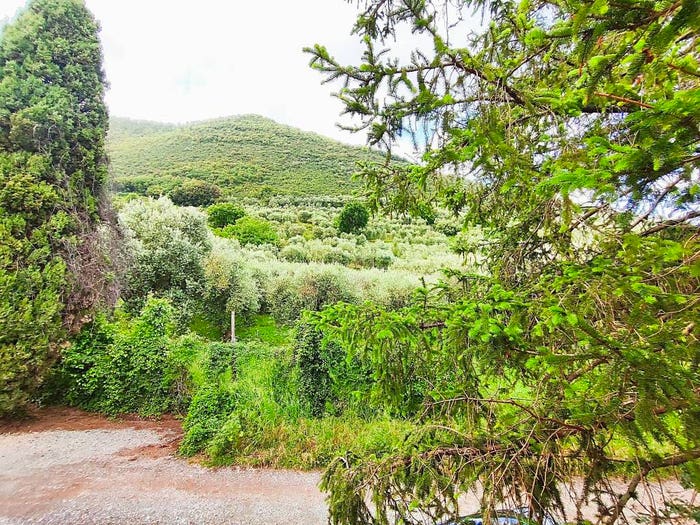Casa bilocale in vendita in Via Piè di Penna, San Lorenzo a Vaccoli, Lucca