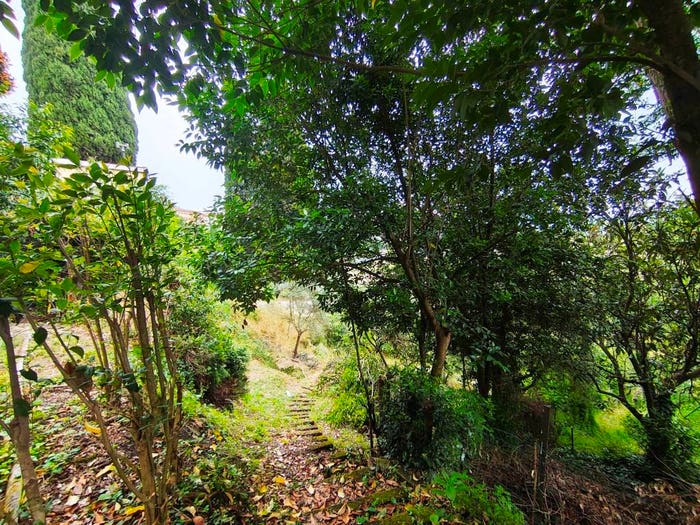 Casa con 6 locali in vendita in Via Vittorio Veneto, Comeana, Carmignano
