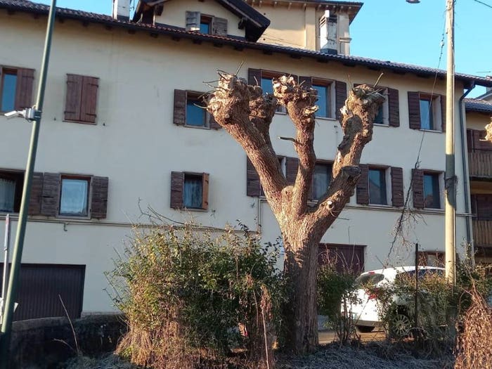 Casa con 6 locali in vendita in Via Matteo Cesa, Centro, Belluno