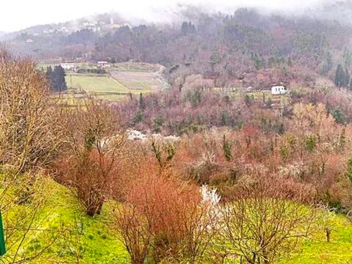 Appartamento quadrilocale in vendita in Via Niccolò Paganini, Centro, Carro