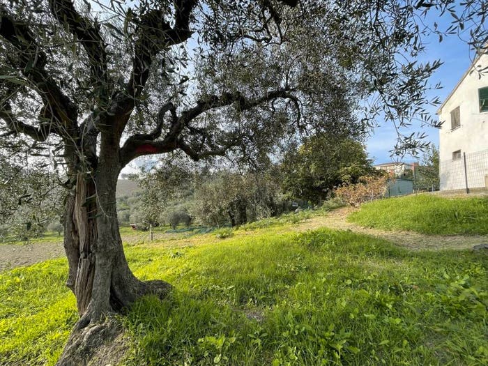 Casa con 6 locali in vendita in Belvedere Ostrense