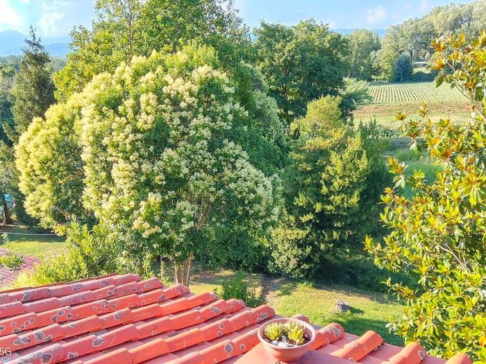 Appartamento con 5 locali in vendita in Via per Gattaiola, Fagnano Meati, Lucca