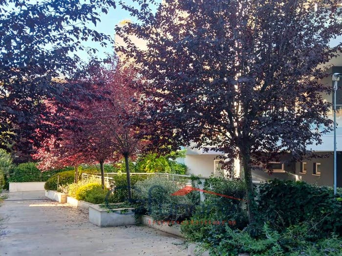 Appartamento bilocale in affitto in Via Misurina, Cortina d'Ampezzo, Roma