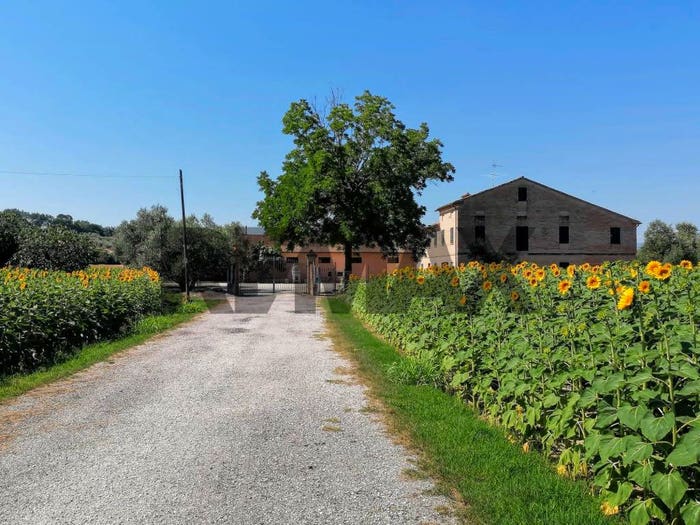 Casa con 6 locali in vendita in Via Mazzangrugno, Borgo Minonna, Jesi