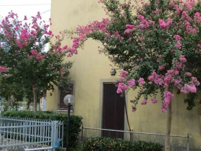 Casa con 6 locali in vendita in Urb Massa Macinaia Compitese, Massa Macinaia San Leonardo, Capannori