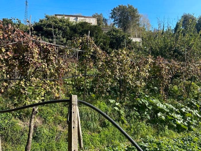 Casa con 5 locali in vendita in Via Vicinale Cupa Cintia, Fuorigrotta, Napoli