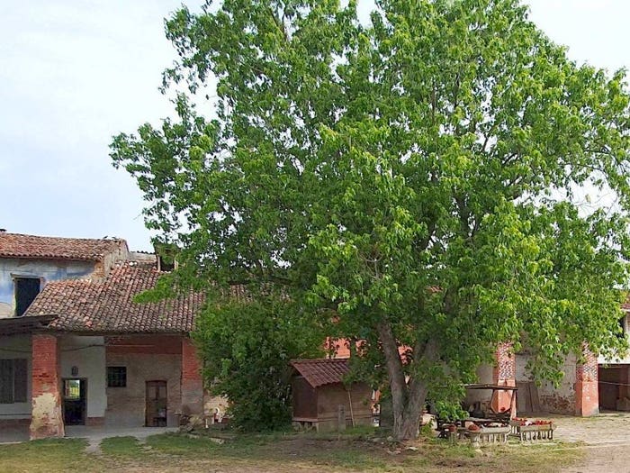 Casa in vendita in Borghetto Lodigiano