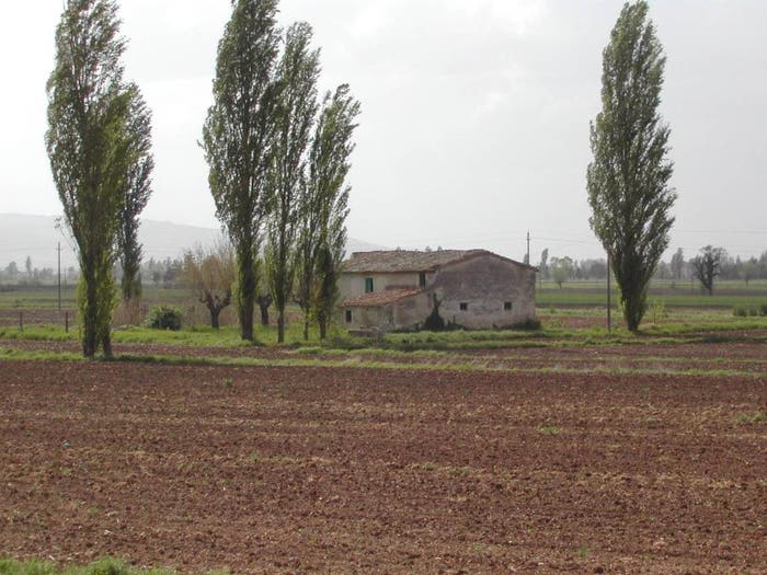 Casa con 6 locali in vendita in San Damiano Rivotorto Capodacqua, Assisi
