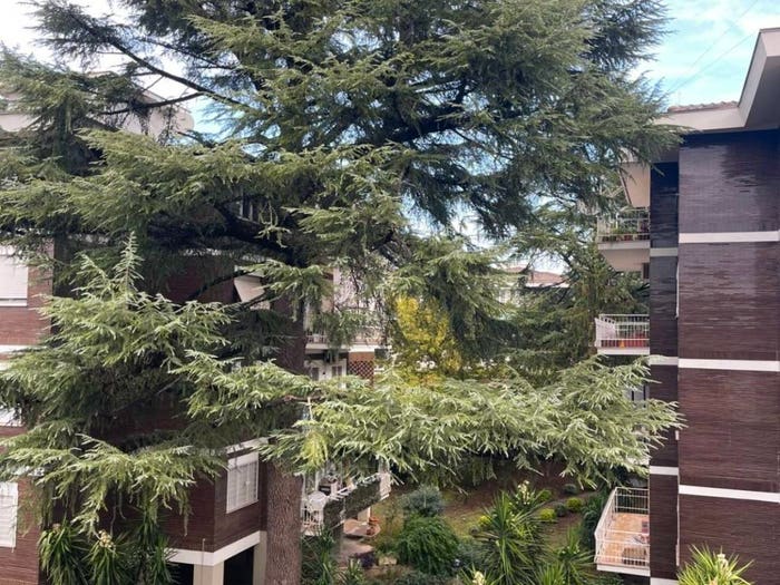 Appartamento trilocale in vendita in Via Mauro Morrone, Nuovo Salario, Roma