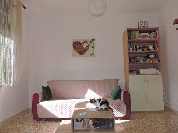 Appartamento quadrilocale in vendita in Via della Camminata Ovest, Centro, Bibbona