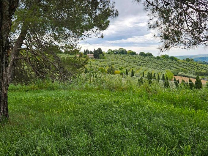 Casa in vendita in Cartoceto