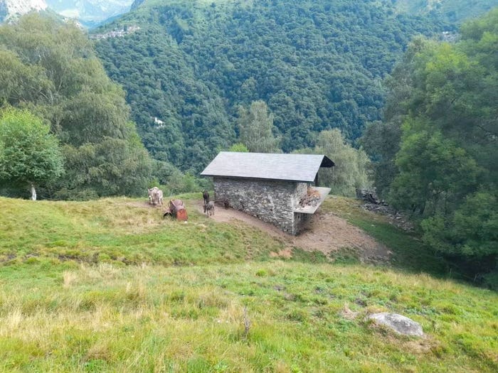 Casa bilocale in vendita in Livo