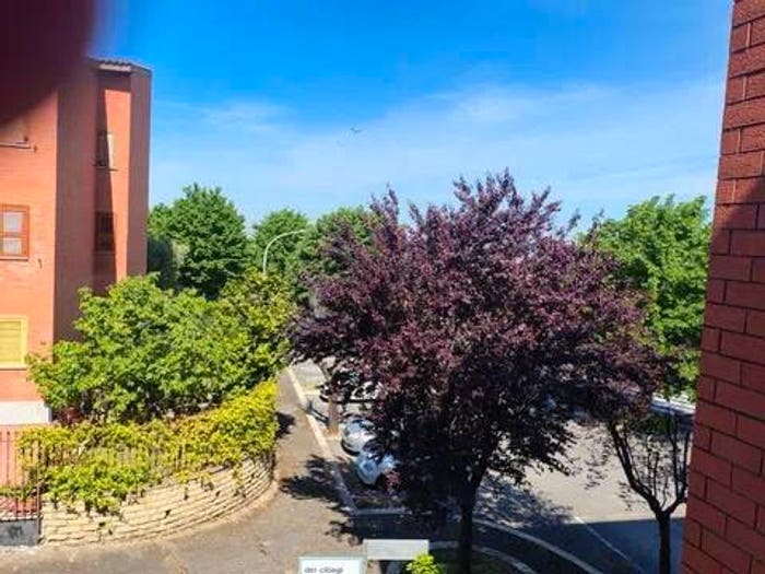Appartamento quadrilocale in vendita in Piazza Della Ginestra, Frascati