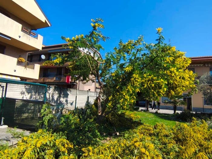Appartamento trilocale in vendita in Via Tagliabue, Desio