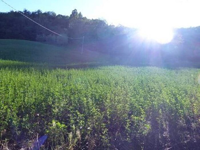 Casa con 6 locali in vendita in Strada Provinciale Urbinate, Urbino