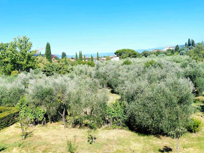 Appartamento quadrilocale in vendita in Via dell'Osservatorio, Castello, Firenze