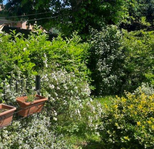 Casa in vendita in Via Nazionale, Arquata Scrivia