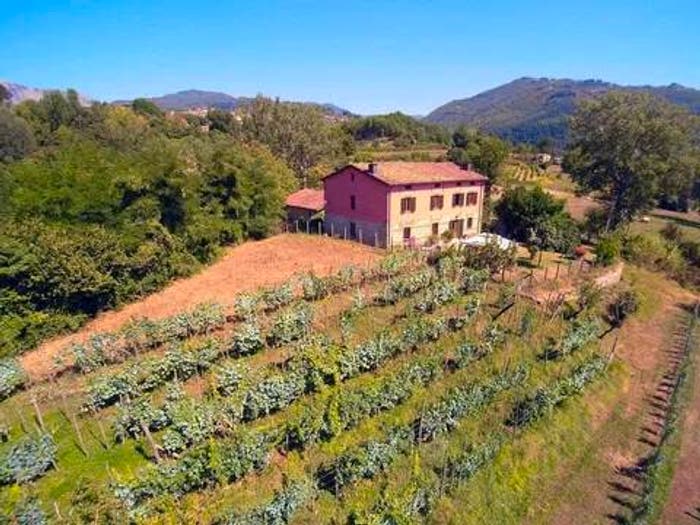 Casa con 6 locali in vendita in Via Statale No Number, Cerageto, Castiglione di Garfagnana