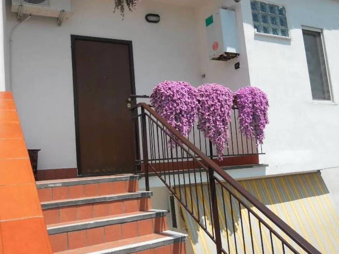 Appartamento trilocale in vendita in Via Caserta No Number, Cicciano