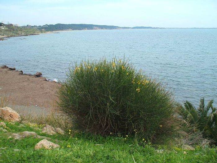 Appartamento trilocale in vendita in Le Castella Villaggio Tucano, Centro, Isola di Capo Rizzuto