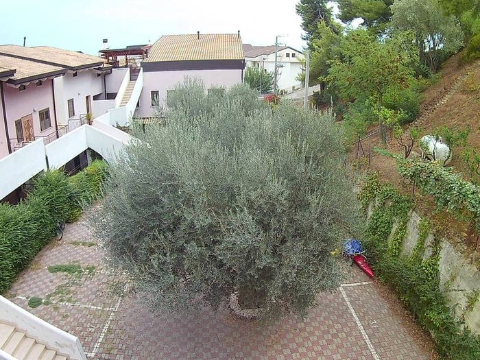 Appartamento bilocale in vendita in Via Antonio Gramsci, Marina, Montegiordano