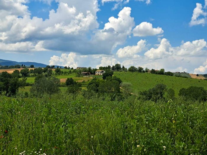 Casa con 6 locali in vendita in Vocabolo San Donato, Montefalco