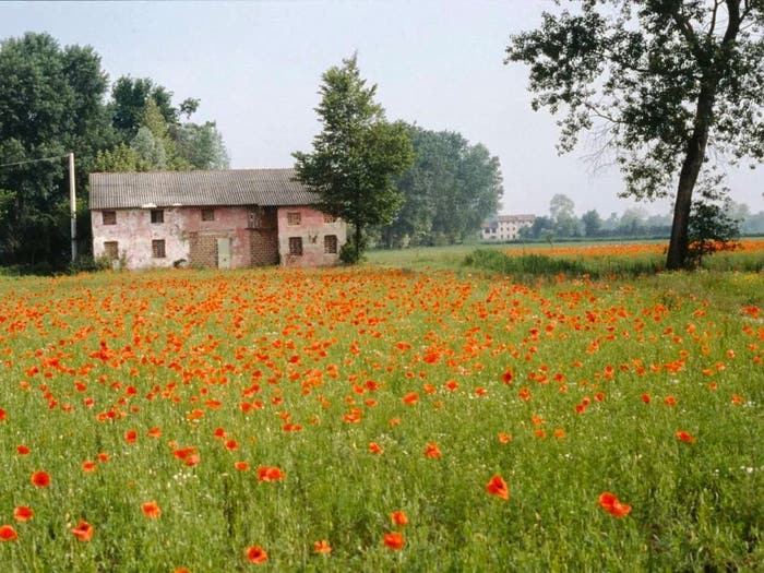 Casa in vendita in Via Carpane, Loreggia