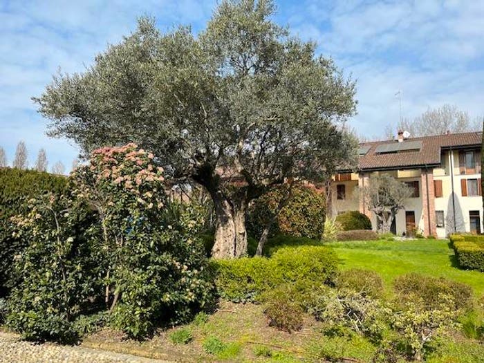 Appartamento quadrilocale in vendita in Via Corte, Giuseppina Villetta, Cremona