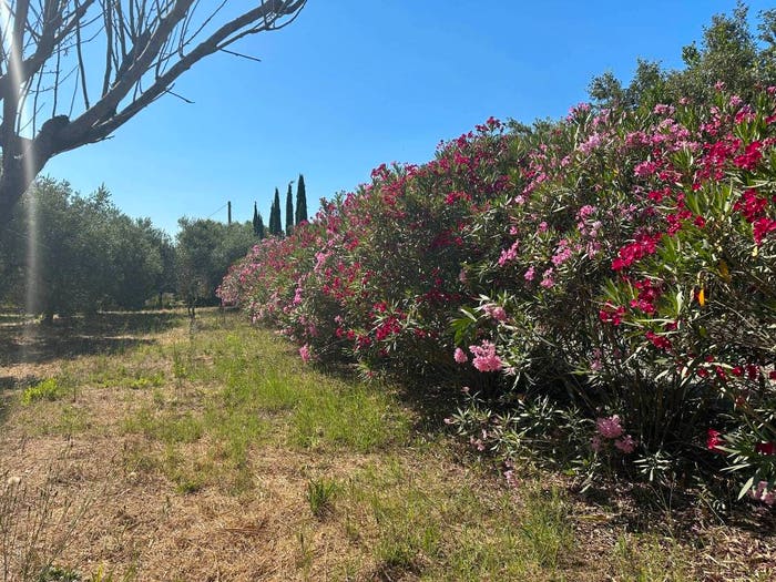 Casa monolocale in vendita in Strada Vicinale delle Vigne, Tirli Vetulonia Buriano, Castiglione della Pescaia