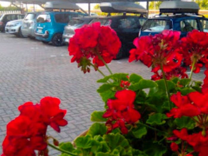 Casa con 6 locali in vendita in Viale Europa, Lido Riccio, Ortona