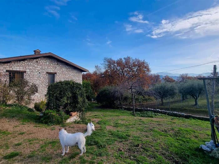 Casa con 6 locali in vendita in via santa maria, Montopoli di Sabina