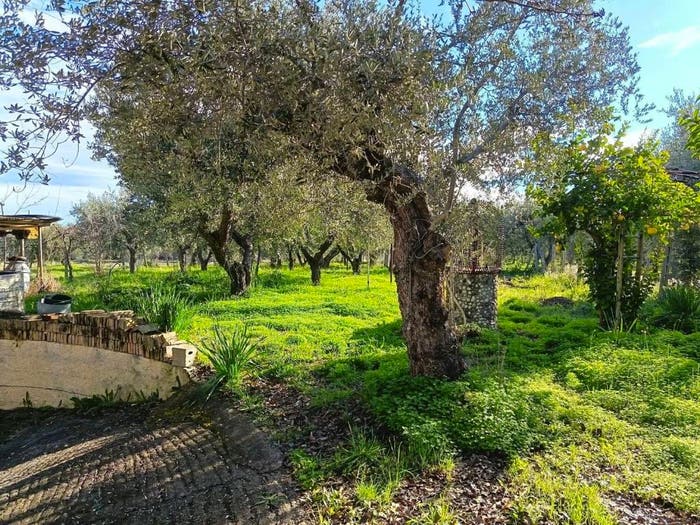 Casa con 6 locali in vendita in Contrada Sacchetti, San Martino, Treglio