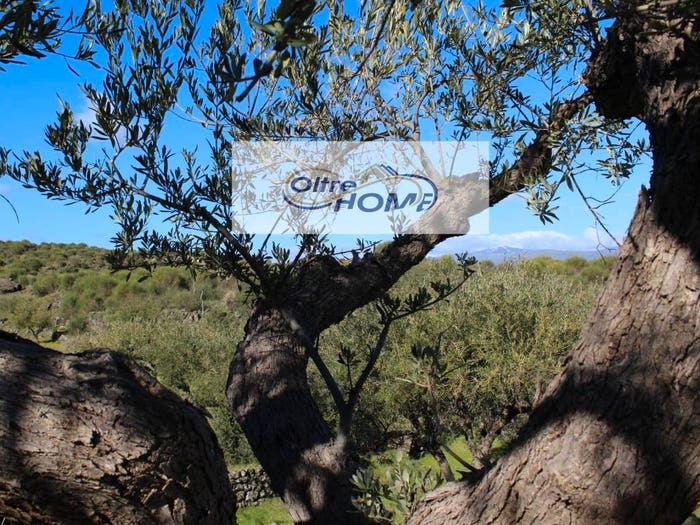 Casa in vendita in Strada Statale dell'Etna e delle Madonie, Castiglione di Sicilia