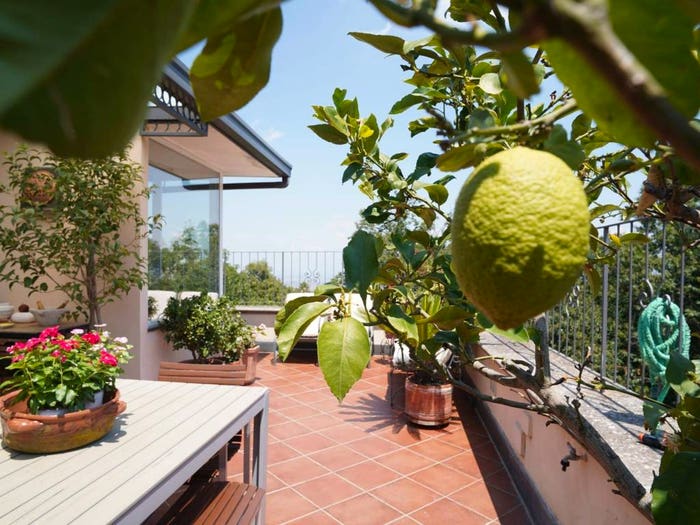 Appartamento quadrilocale in vendita in Camaldoli, Napoli