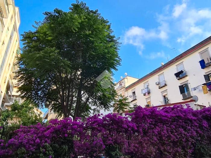 Appartamento quadrilocale in vendita in Viale Privato Fiorentine a Chiaia, Chiaia, Napoli