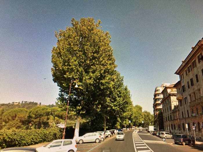 Casa trilocale in affitto in Lungotevere Flaminio, Flaminio, Roma