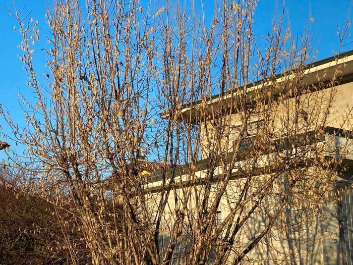 Casa con 6 locali in vendita in Borgo Ticino