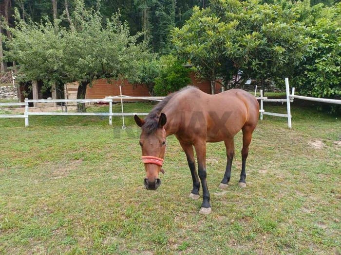 Casa quadrilocale in vendita in Frazione Cà de Monti, Centro, Gavirate