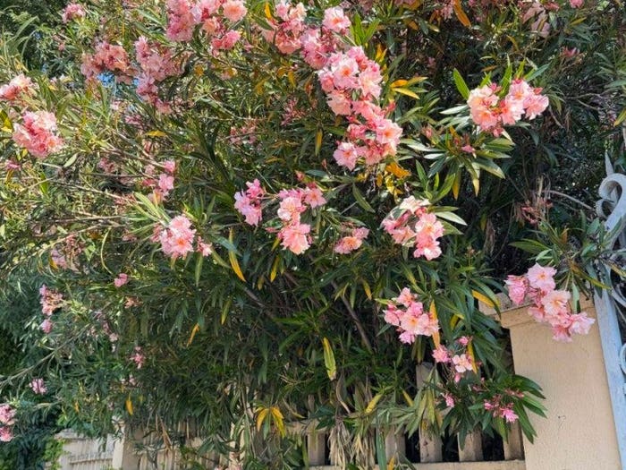 Casa quadrilocale in vendita in Via Emilia Ovest, San Cataldo, Modena