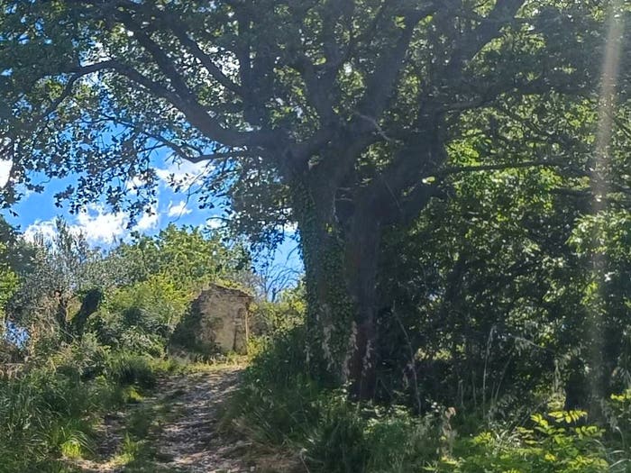 Casa in vendita in contrada Piana Santi, Massignano