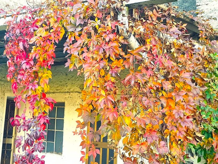 Casa con 6 locali in vendita in Via Duca di Modena, Centro, Cartigliano