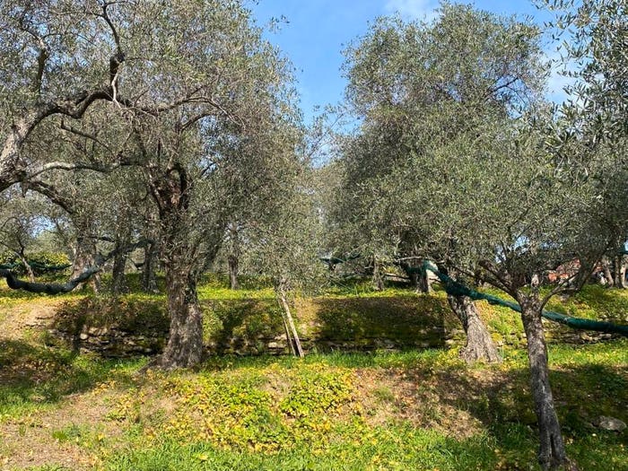 Casa in vendita in Via dei Cogorno, Lavagna