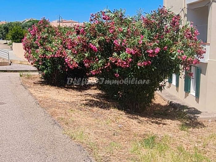 Appartamento trilocale in vendita in Via Capo d'Orso, Centro, Palau