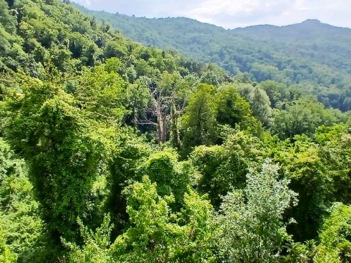 Appartamento con 5 locali in vendita in Località Careggia, Careggia, Tresana