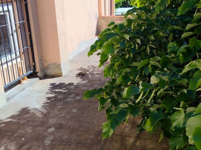 Casa con 6 locali in vendita in Via Rotinella, Latignano, Cascina