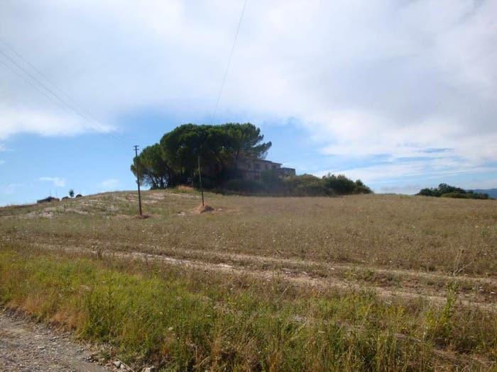 Casa con 6 locali in vendita in Bibbona