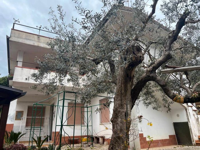 Casa con 6 locali in vendita in Via San Francesco, Centro, Altavilla Silentina